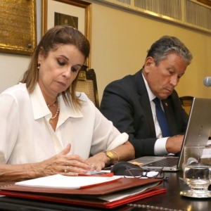 Adriana Brasil Guimarães e Antônio Laért Vieira Júnior