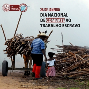 Rita Cortez lembra que o País já foi referência no combate ao trabalho escravo 