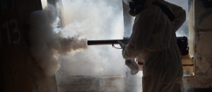 Lei do RJ obriga administrador de imobiliária a combater criadouros de mosquitos da dengue