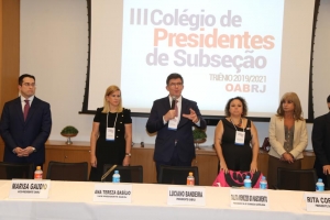 Rita Cortez defende ‘fortalecimento das instituições jurídicas’, em evento da OAB/RJ