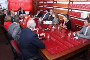 Reunião da Comissão de Direito Penal realizada em 08/02/2019