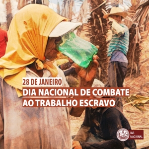 IAB destaca importância de fiscalização e reparação para combater trabalho escravo