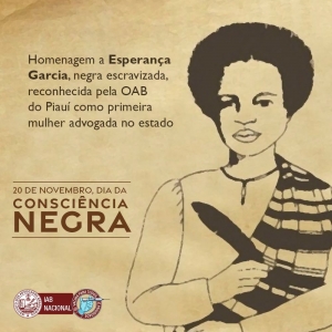 Presidente do IAB defende reparação da escravidão no Dia Nacional da Consciência Negra 