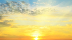 IAB promove seminário sobre identidades de gênero e direitos, no dia 4 de junho